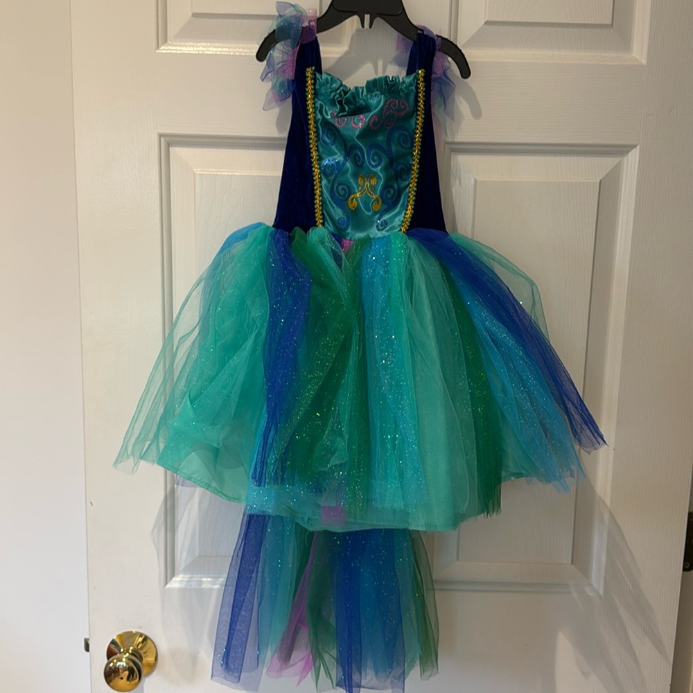 Princess Blue Girls Dress Tulle Skirt Size 18Mo. Costume
